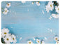 Case for Macbook Air 13 M3 M1 Pro 13 14 15 16 M4 Max 12 11 13.6 Retina Hard Cover Shell Print A3401 A3114 A2992 A3185 A3112 2024