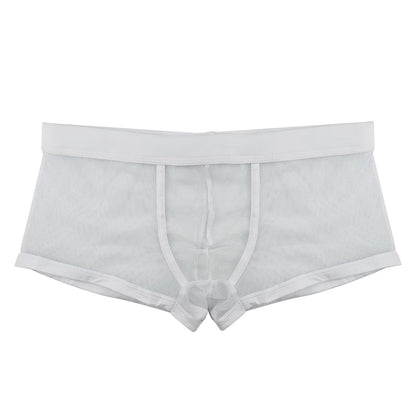 Boxers Men Mesh Sheer Underwear Sexy Man Transparent Boxer Shorts Underpants Trunks Cueca Panties See-Through Bottoms