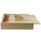 (1 PCS Free LOGO) Photo Unique Album Walnut Wood Usb+Box Pendrive USB Flash Drive 8GB 16GB 32GB 64GB 128GB Photography