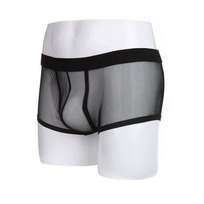 Mesh Boxers Men Transparent Underwear Man Cueca Sexy Boxer Shorts Hollow Lingerie Underpants Panties Trunks
