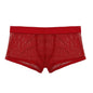 Boxers Men Mesh Sheer Underwear Sexy Man Transparent Boxer Shorts Underpants Trunks Cueca Panties See-Through Bottoms