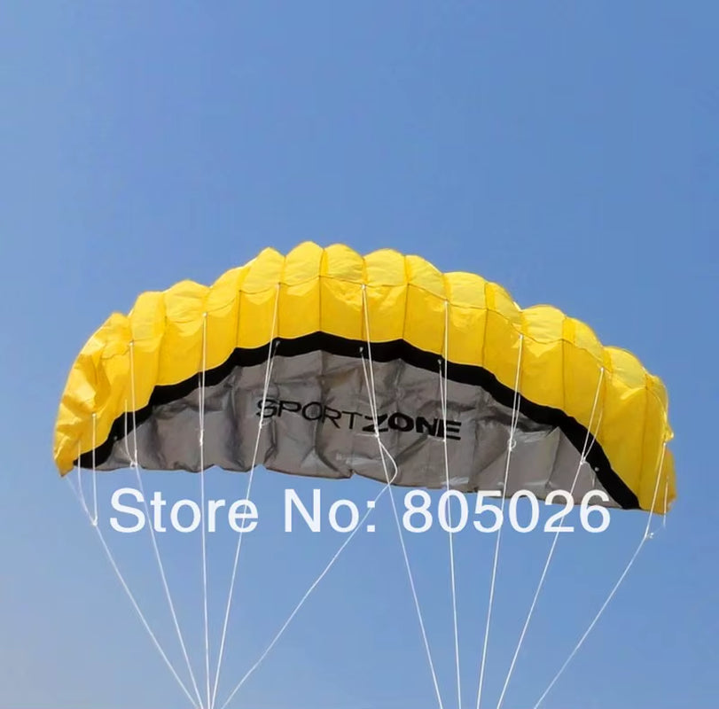 Outdoor Fun 2.5M Dual Line Stunt Power Kite Soft Kite Parafoil Kite Surf Flying Outdoor Sports Kites Kiteboard Factory Koi