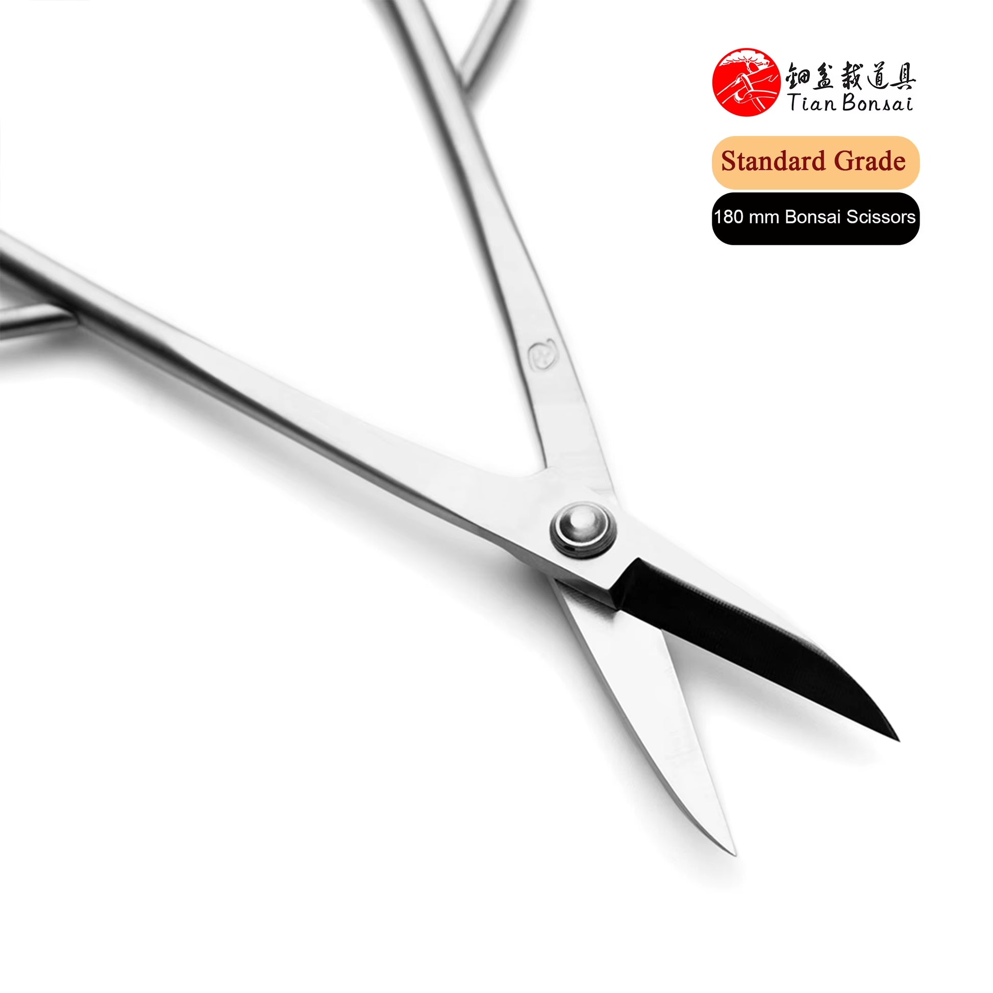 Standard Grade 180 Mm Long Handle Bonsai Scissors 3Cr13 Alloy Steel Bonsai Tools