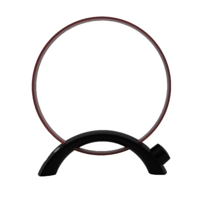 TECSUN an 100 an 200 MW Antenna Enhances Your Radio'S Signal Strength