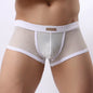 Underwear Men'S Boxers Breathable Mesh Hollow Boxer Shorts Sexy Underwear Panties Transparent Men Boxers B1150
