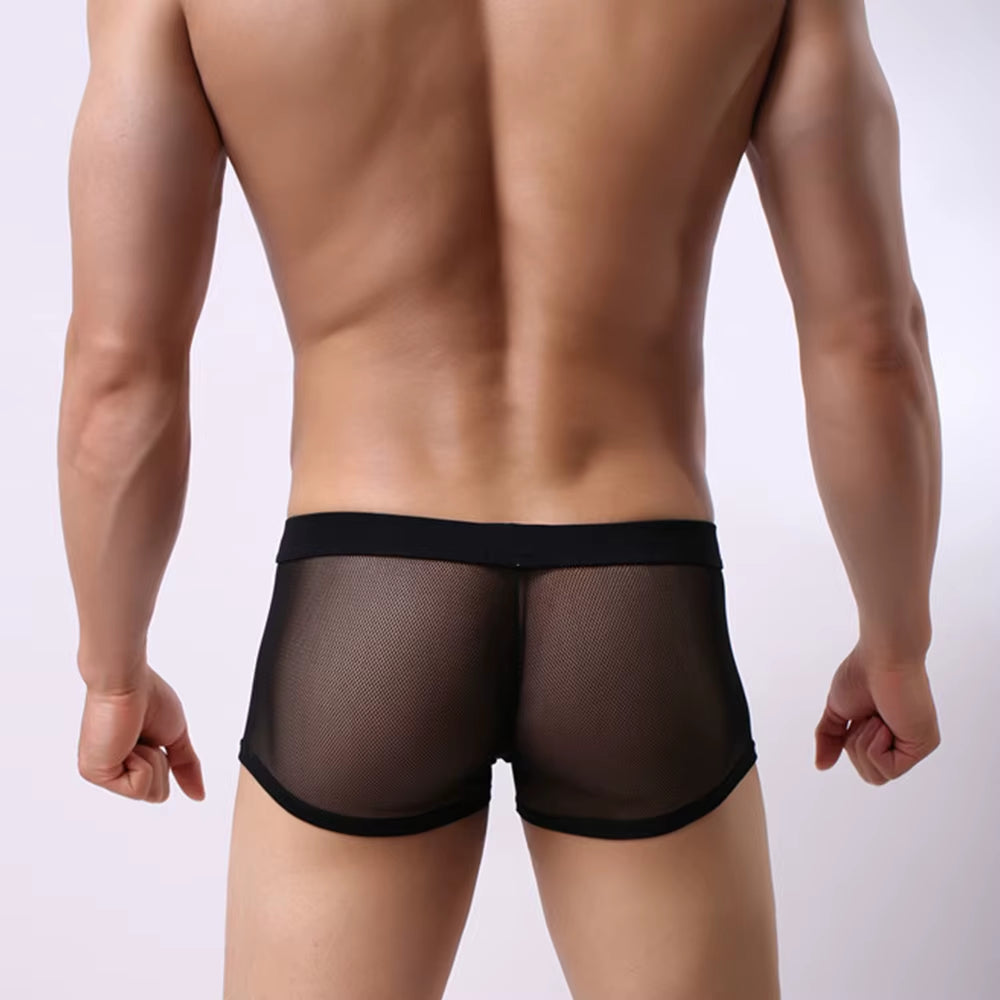Boxers Men Mesh Sheer Underwear Sexy Man Transparent Boxer Shorts Underpants Trunks Cueca Panties See-Through Bottoms