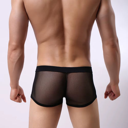 Boxers Men Mesh Sheer Underwear Sexy Man Transparent Boxer Shorts Underpants Trunks Cueca Panties See-Through Bottoms