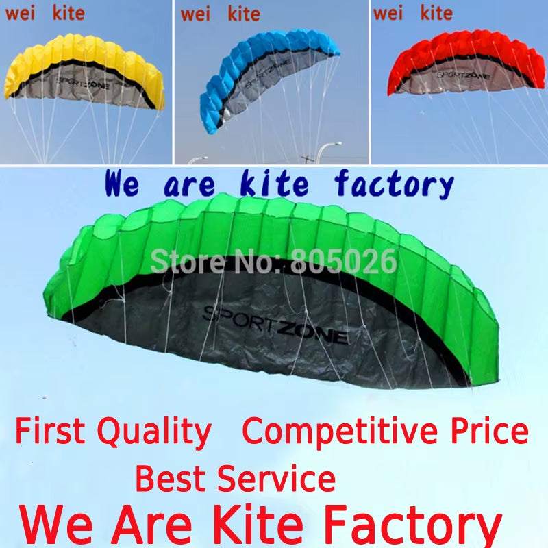 Outdoor Fun 2.5M Dual Line Stunt Power Kite Soft Kite Parafoil Kite Surf Flying Outdoor Sports Kites Kiteboard Factory Koi
