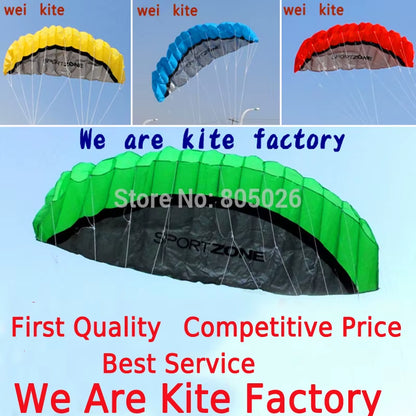 Outdoor Fun 2.5M Dual Line Stunt Power Kite Soft Kite Parafoil Kite Surf Flying Outdoor Sports Kites Kiteboard Factory Koi