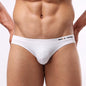 Men'S Sexy Underwear Briefs  Brand Underwear Male Nylon Brief for Men Panties B1129
