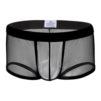 Mesh Boxers Men Transparent Underwear Man Cueca Sexy Boxer Shorts Hollow Lingerie Underpants Panties Trunks