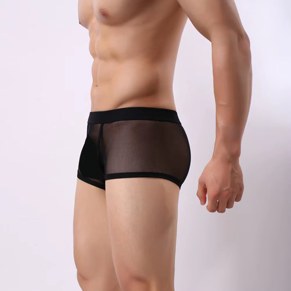 Boxers Men Mesh Sheer Underwear Sexy Man Transparent Boxer Shorts Underpants Trunks Cueca Panties See-Through Bottoms